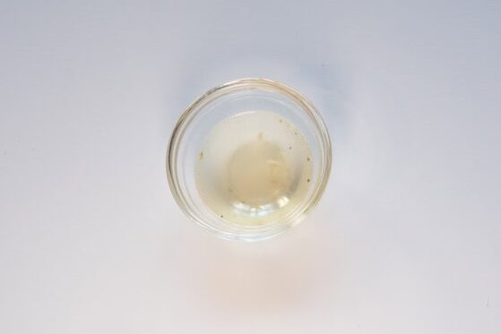 A small clear glass ramekin of the Ve Wong Kung-Fu Chicken Flavor broth on a white surface, showing a very pale, almost colorless liquid with faint green herb flecks settled at the bottom.